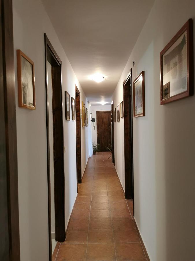 House Stephanotus Katanya Dış mekan fotoğraf